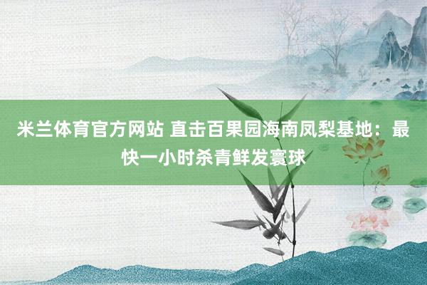 米兰体育官方网站 直击百果园海南凤梨基地：最快一小时杀青鲜发寰球