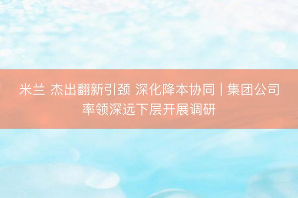 米兰 杰出翻新引颈 深化降本协同 | 集团公司率领深远下层开展调研